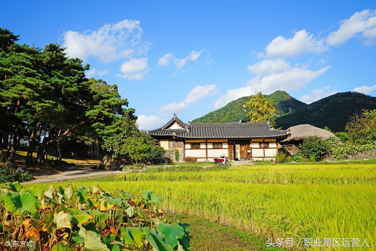现在搞农业旅游怎么样,在农村想搞投资要找哪个部门