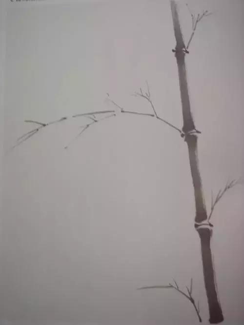 竹子画法教程简单又漂亮,竹子画法的入门教程