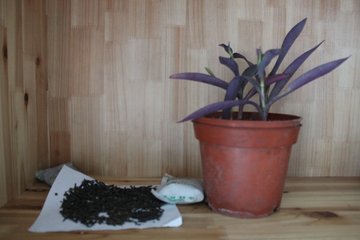 除甲醛|误区太多,简单实用的四招搞定甲醛,环保专家推荐