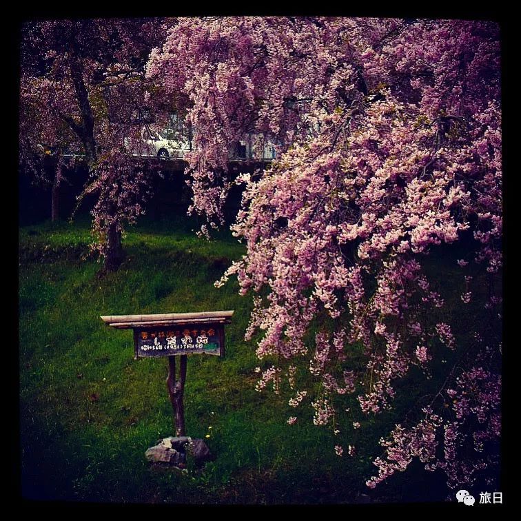 日本箱根旅游攻略,别样旅行全文