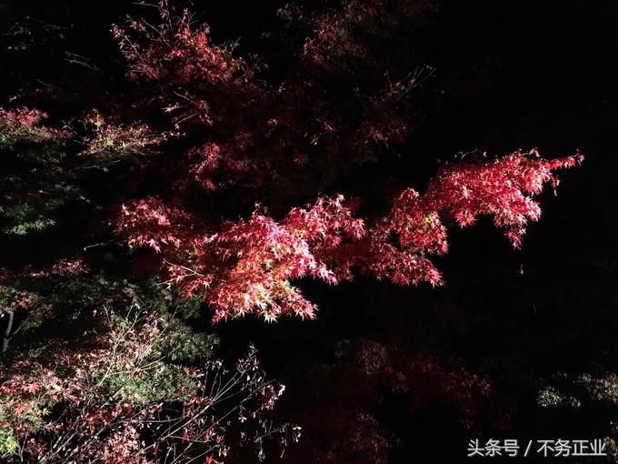 旅行|CoordinateBook06-No.535.0116°N,135.7680°E京都