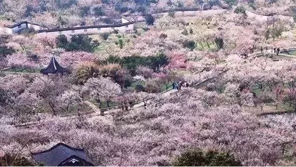 赏花灯游千年古街,游古镇赏花灯品古趣