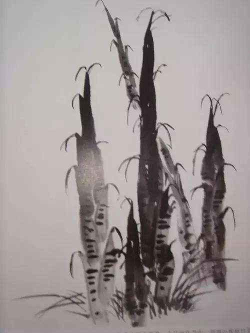 竹子画法教程简单又漂亮,竹子画法的入门教程
