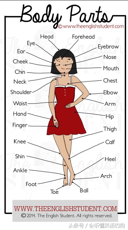 关于孩子学习英语的十大好习惯,有什么好方法教孩子英语