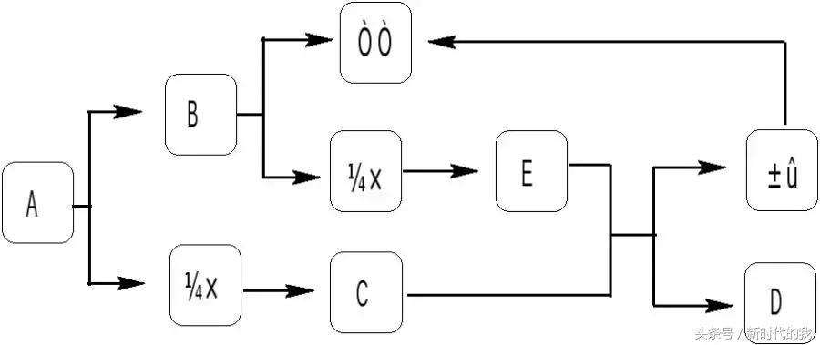 初三化学推断题方法与解题技巧,化学推断题的解题技巧初中