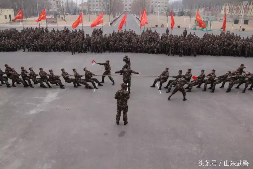 过年“七天最”|“酷炫”活动齐上阵,“年味”“兵味”“战味”哪家浓?