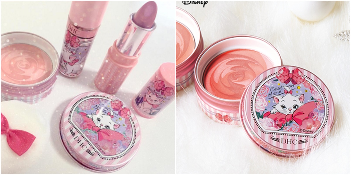 一些非常可爱的猫咪,这些可爱的猫咪让人着迷