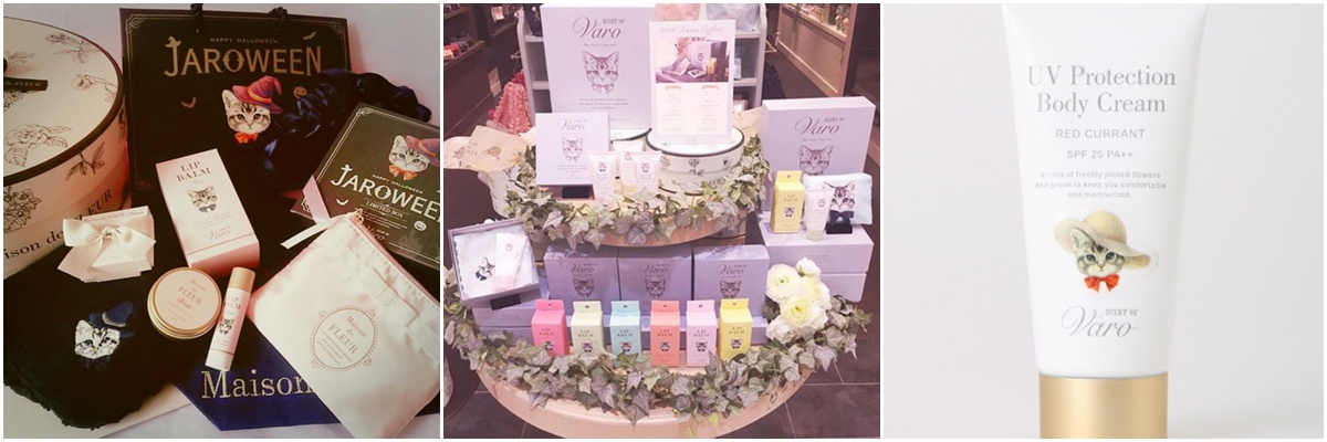 一些非常可爱的猫咪,这些可爱的猫咪让人着迷