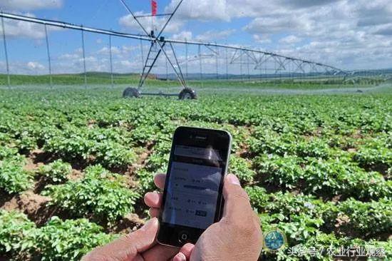 互联网行业都有哪些创业方向,农业互联网方面的创业该如何进行