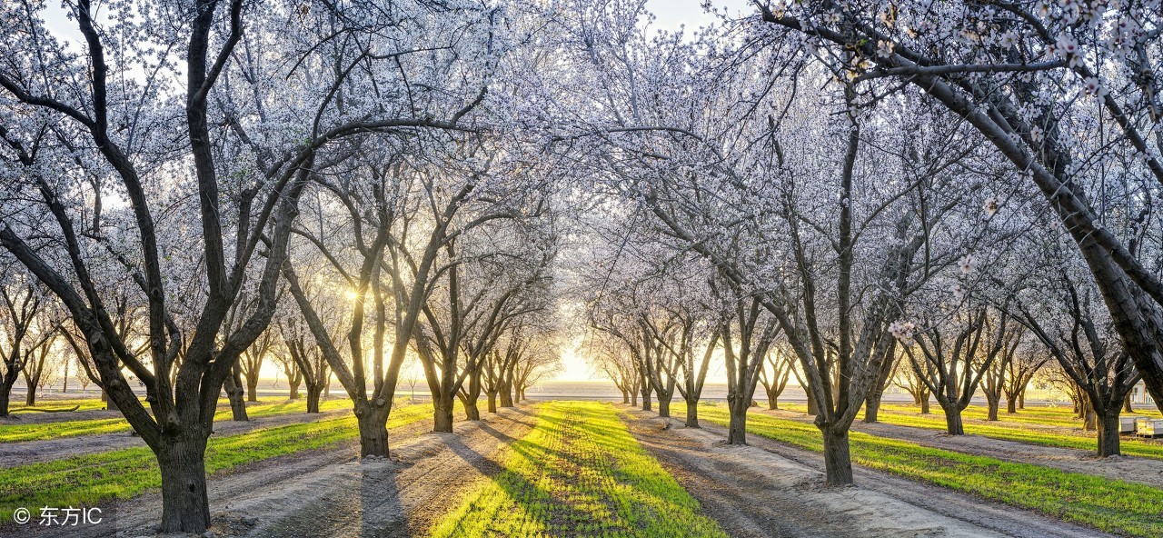 澳大利亚酒庄旅游,游澳大利亚