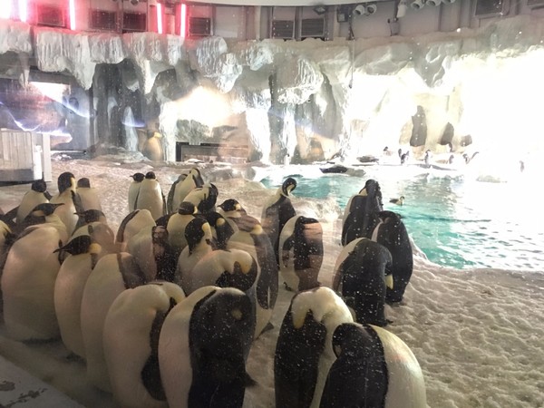 去珠海长隆海洋王国住哪里好,珠海长隆海洋王国烟花时间表