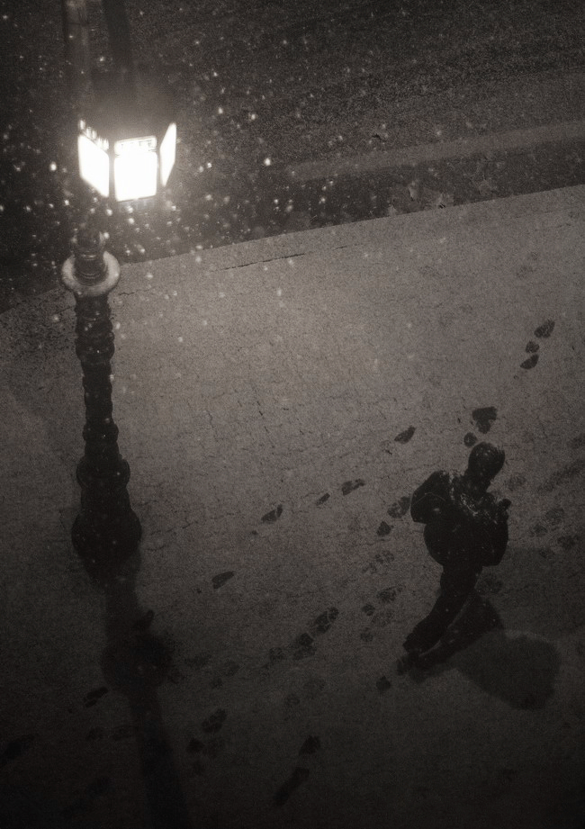 随风飞舞——雪花下武昌街头影像