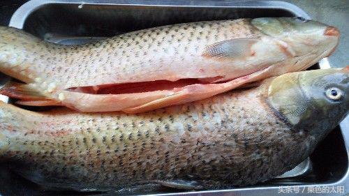 自制酸菜鱼做法步骤详解,酸菜鱼火锅最简单的做法