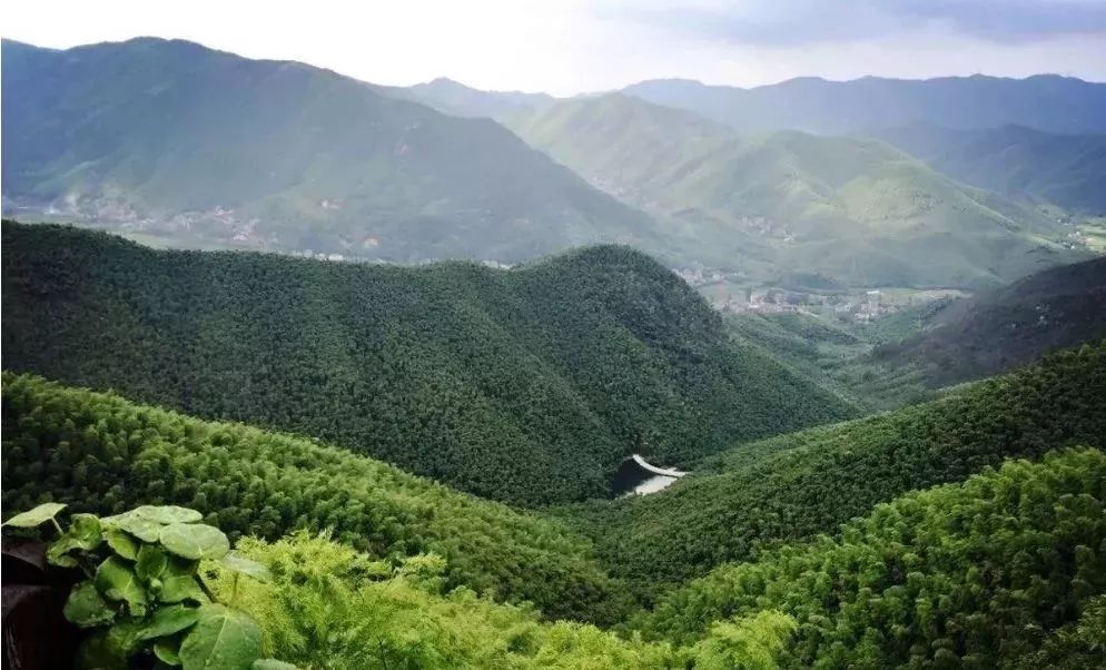 赏花灯游千年古街,游古镇赏花灯品古趣