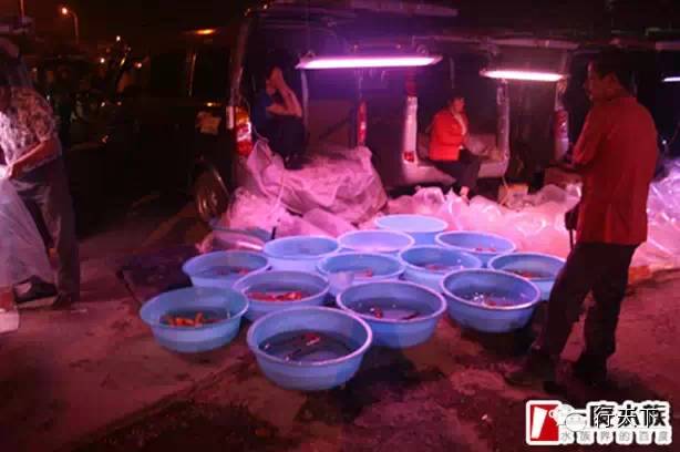 忆天津卫的6大“破烂市儿”，卖书卖花卖宝贝