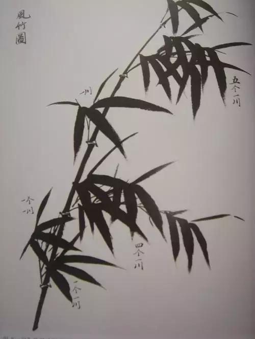 竹子画法教程简单又漂亮,竹子画法的入门教程