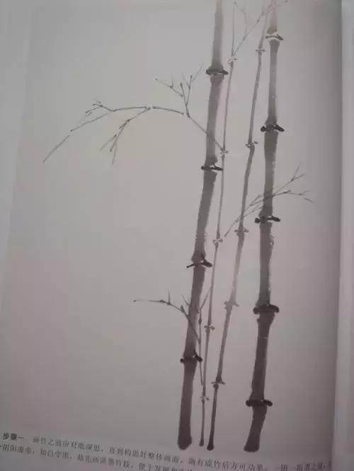 竹子画法教程简单又漂亮,竹子画法的入门教程