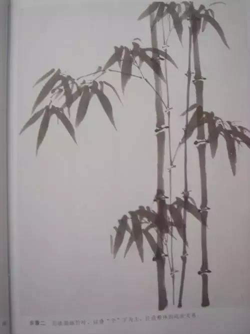 竹子画法教程简单又漂亮,竹子画法的入门教程
