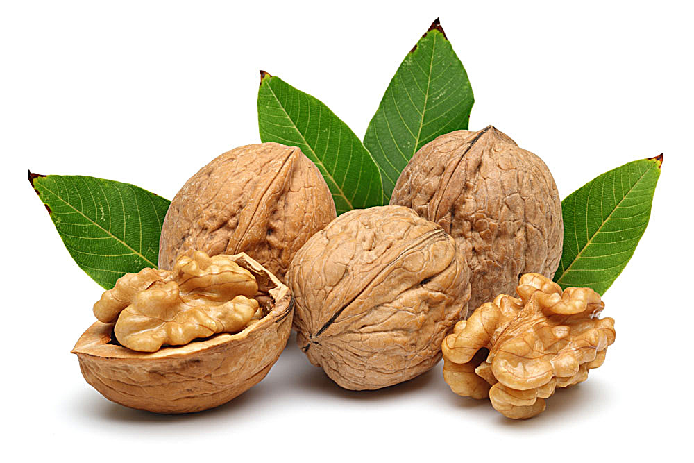 多吃含锌食物对男人有什么好处,含锌含硒的食物能增加抵抗力吗