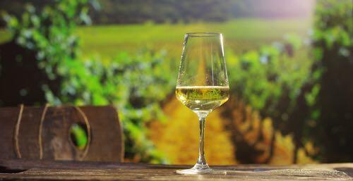 写给女人的红酒,一分钟葡萄酒扫盲