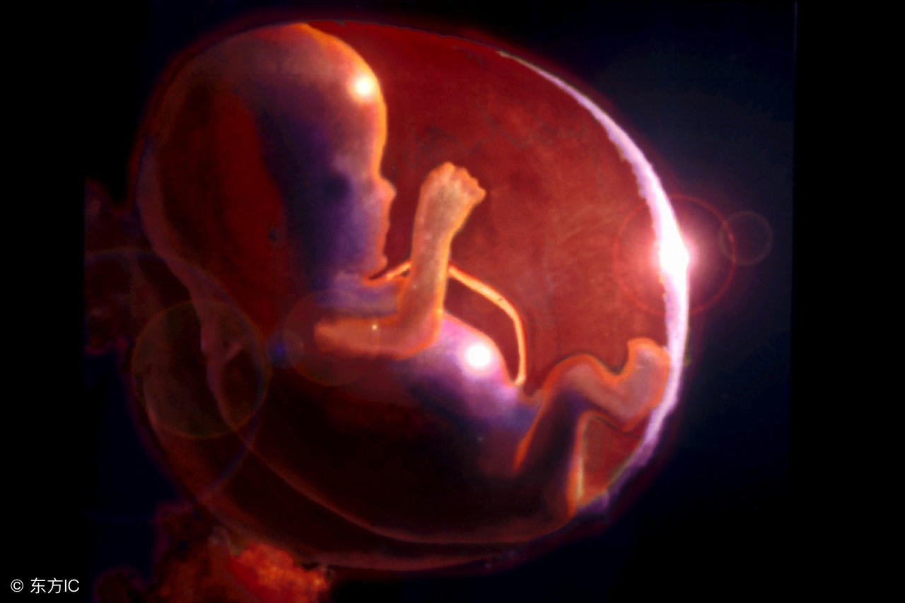 临产孕妇感冒了生下来可以喂奶吗,孕妇感冒了可以进行剖腹产吗