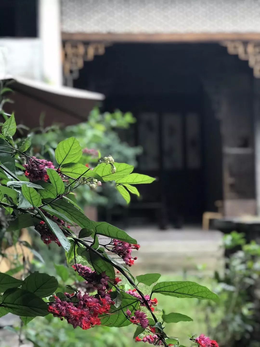 乐领快讯丨乐领布局一线城市，一心精舍·涉趣园完成签约