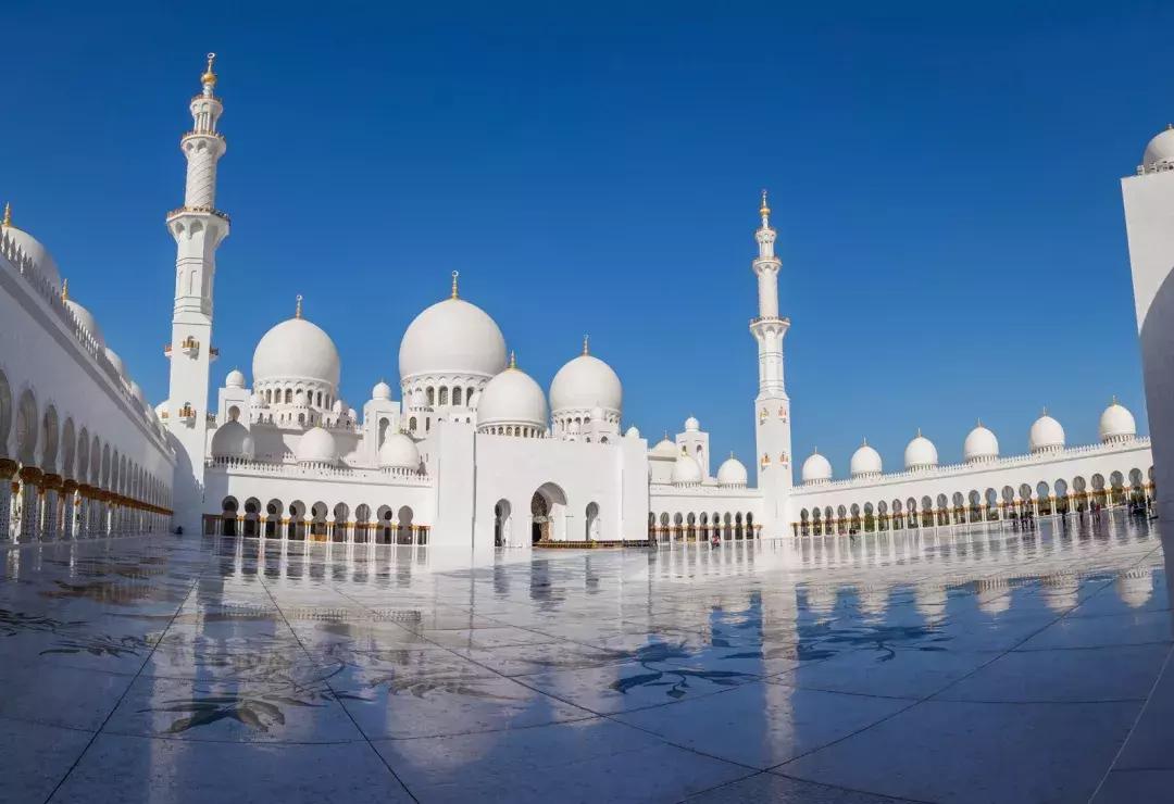 对中国免签的国家实时更新,近期哪几个国家免签