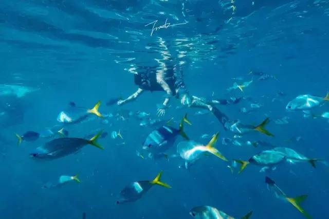 帕劳去玩的人多吗,帕劳到巴厘岛