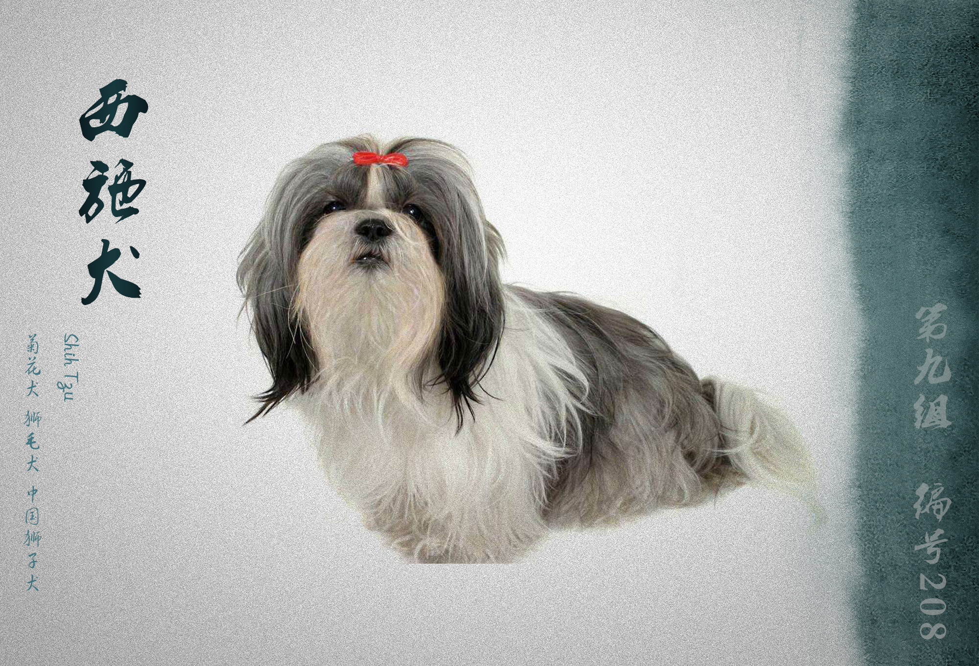 世界犬业联盟承认的犬种,fci犬类排名