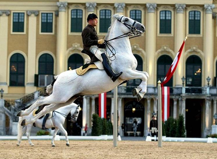 德奥丨一人出行又冷清又贵？快来优程拼团吧！来一次浪漫艺术之旅