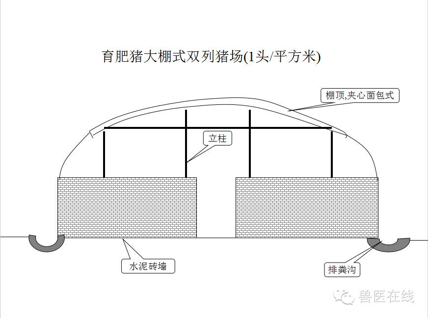 猪场刮粪机排粪沟设计图,100头母猪猪场设计图