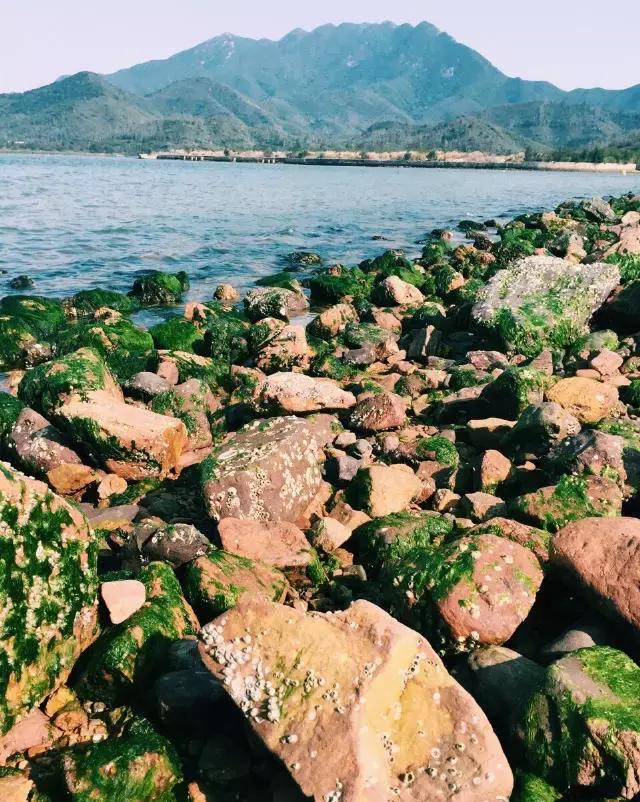 深圳旅游免费全攻略,深圳旅游指南最新版全文解读