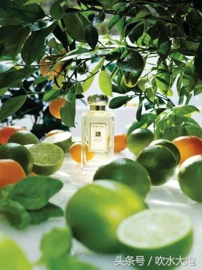 韩国男爱豆同款香水有哪些,男爱豆们的同款香水