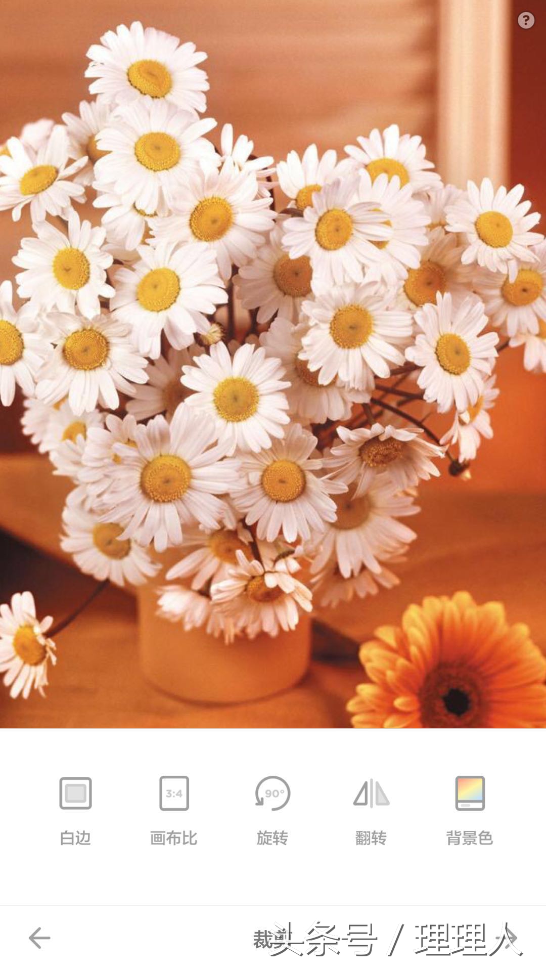 黄油相机怎么编辑竖排文字,黄油相机怎样做成文字视频