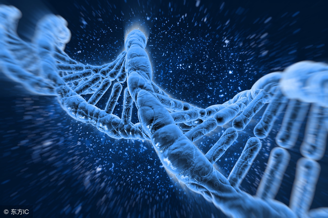 思维人文训练课,思维训练营图解