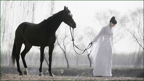 立春的雨水药用价值,立春雨水的功效及作用
