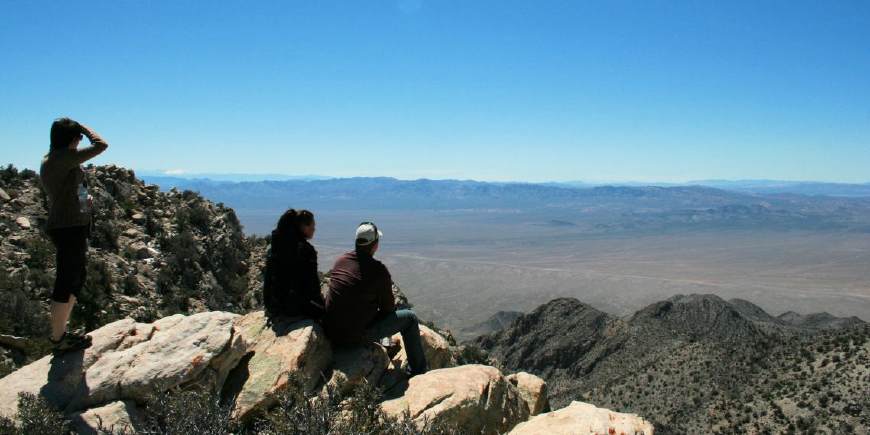 站在这里可以肆无忌惮地近距离注视51区