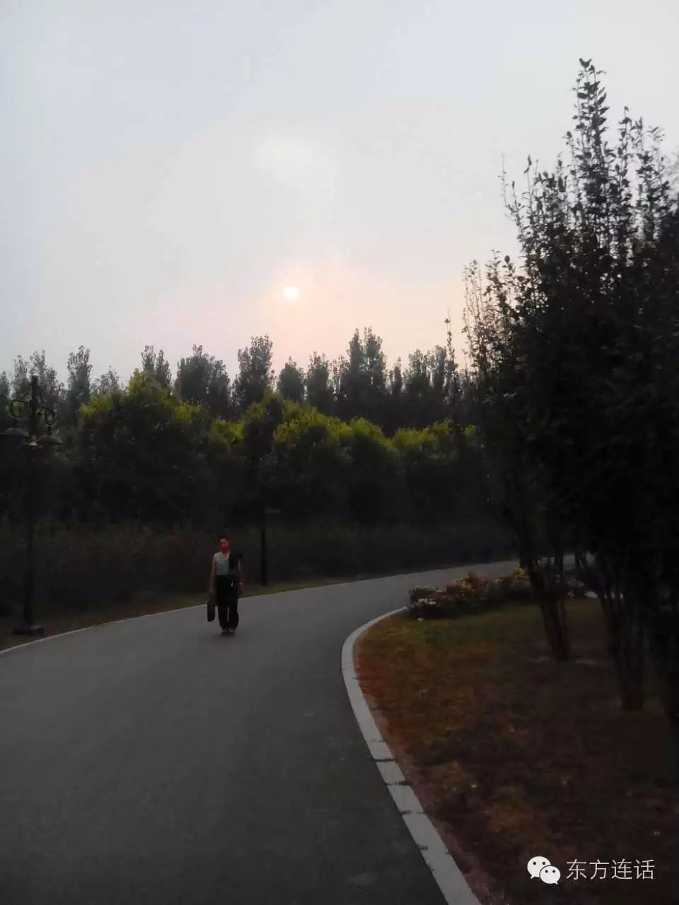 武清津北森林,没有森林的山