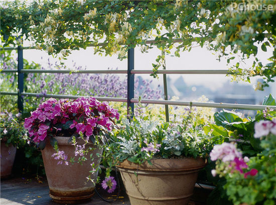 想挣大钱？快戳这！狗年招财全攻略