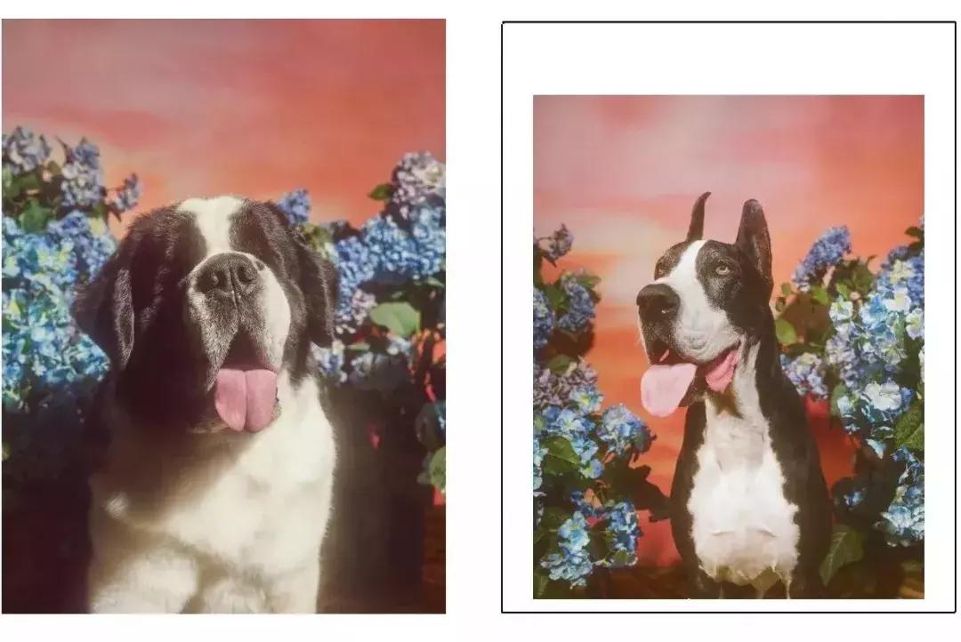 gucci最值得买的几款,gucci必买十大单品