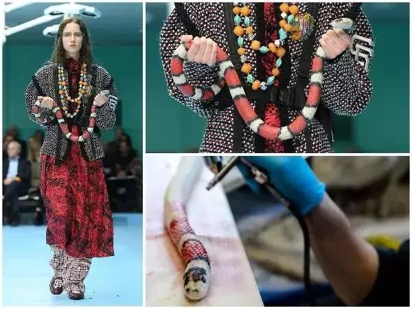 gucci最值得买的几款,gucci必买十大单品