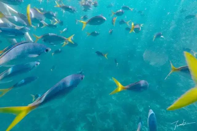 帕劳去玩的人多吗,帕劳到巴厘岛