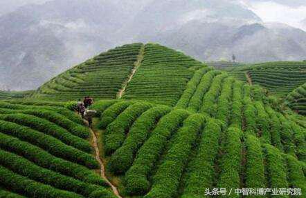 生态循环农业示范基地项目简介,县区域生态循环农业项目方案