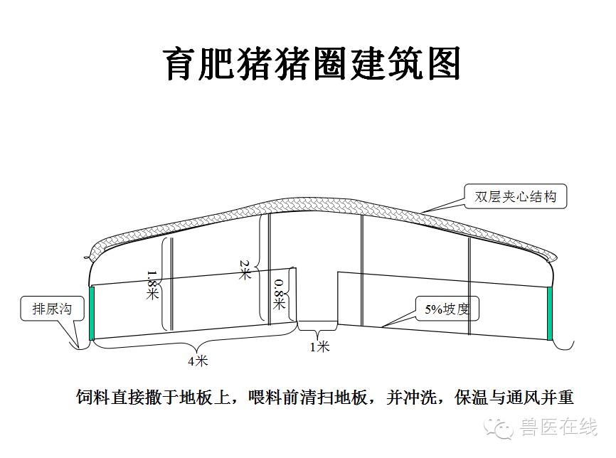 猪场刮粪机排粪沟设计图,100头母猪猪场设计图