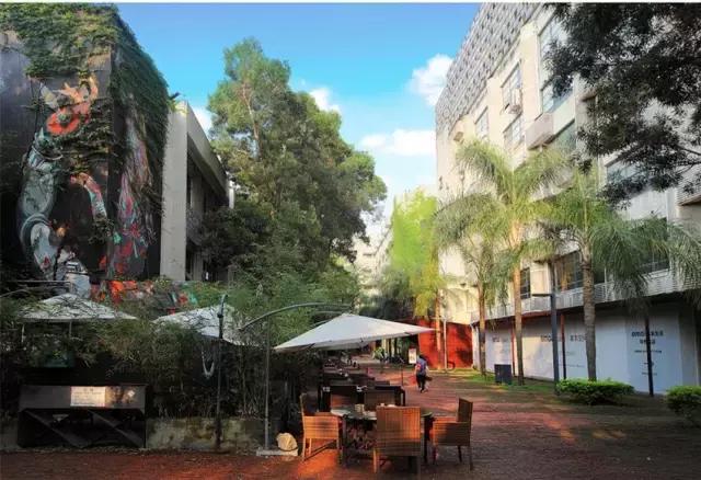 深圳旅游免费全攻略,深圳旅游指南最新版全文解读