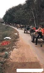 搞笑君靖靖的日常：把润滑剂当做502胶水用会发生什么？笑死人