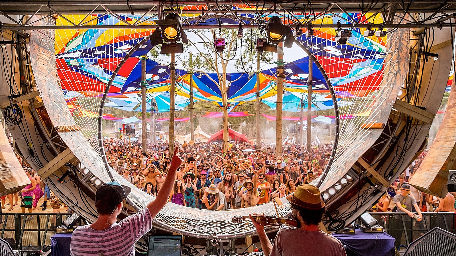 水蛇有灵性吗,水蛇的秘密大揭秘