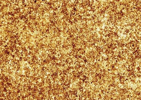 东港黄金价格表今日多少一克啊,2021年黄金多少钱一克价格表