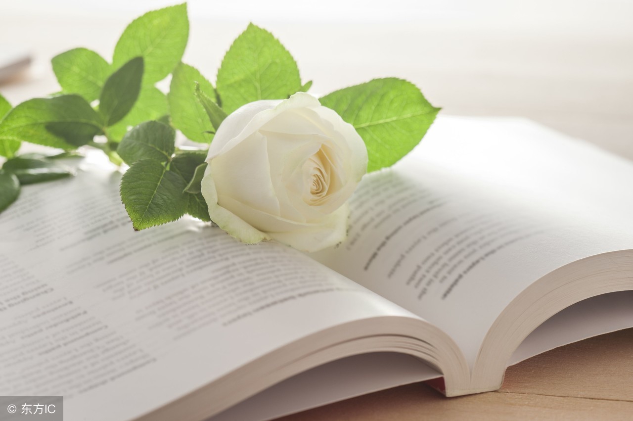 生活繁琐过成诗,努力把生活变成诗