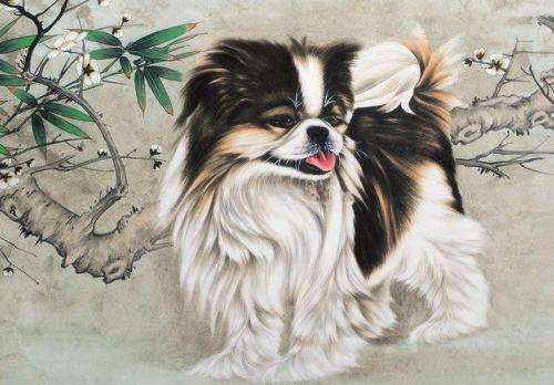 如何化解狗年犯太岁,2018狗年化解太岁